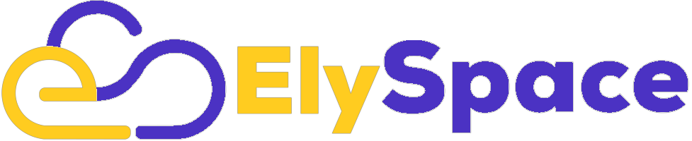 ElySpace IT Services LLP