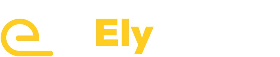 ElySpace IT Services LLP